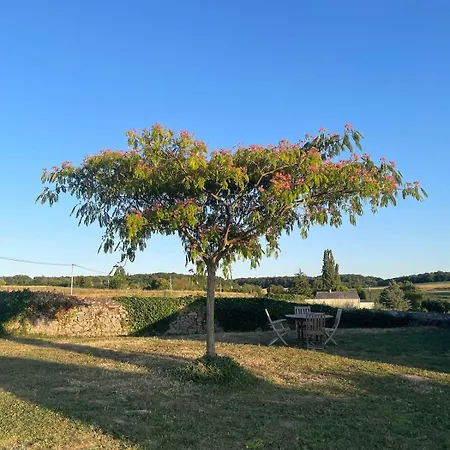 Hébergement de vacances Le Vieux Pressoir Avec Piscine Coutures (Maine-et-Loire)